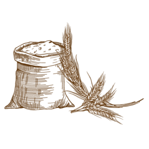 La pasta di grano duro